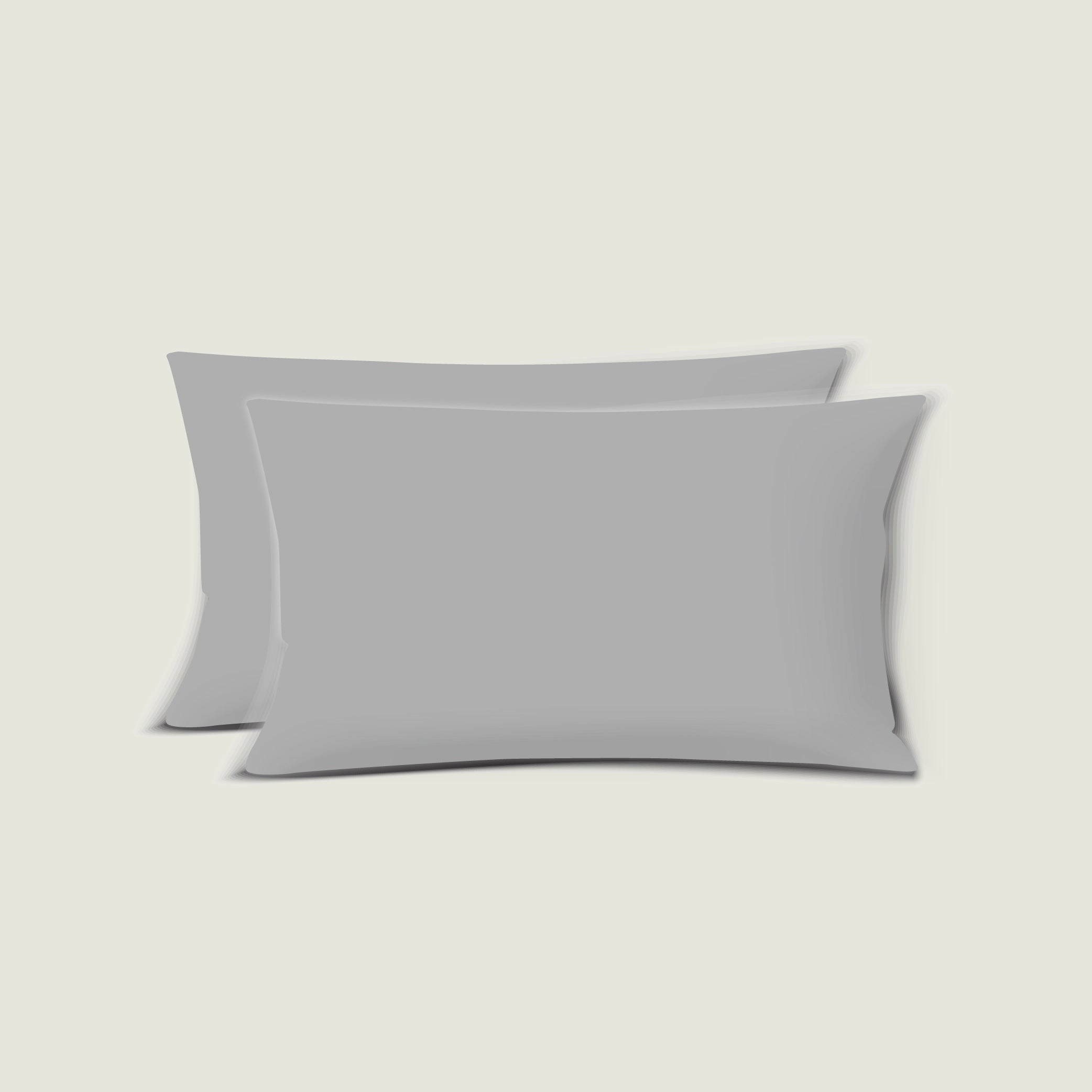 Bamboo Silk Pillowcase (Set of Two)